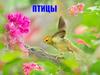 Птицы