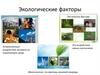 Экологические факторы. Антропогенные воздействие человека на окружающую среду