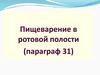 Пищеварение в ротовой полости