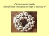 Чеснок всемогущий. Электронная викторина по мифу о чесноке
