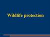 Wildlife protection