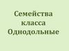 Семейства класса Однодольные