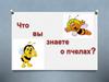 Что вы знаете о пчелах?