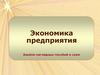 Экономика организации. Альбом наглядных пособий и схем