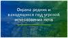 Охрана редких и находящихся под угрозой исчезновения почв