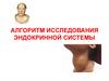 Алгоритм исследования эндокринной системы