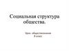 Социальная структура общества. Урок 16