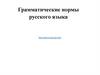 Грамматические нормы русского языка