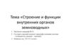 Строение и функции внутренних органов земноводных
