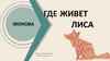 Где живет лиса