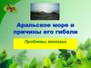 Аральское море и причины его гибели. Проблемы экологии