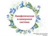Лимфатическая и иммунная система