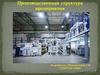 Производственная структура предприятия