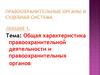 Общая характеристика правоохранительной деятельности и правоохранительных органов. Лекция 1