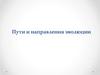 Пути и направления эволюции
