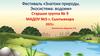 Фестиваль «Знатоки природы. Экосистема: водоем» Старшая группа. Фотоотчет