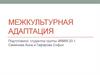 Межкультурная адаптация