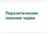 Паразитические плоские черви