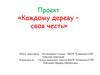Каждому дереву – своя честь. Проект о ели