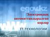 Электрондық автоматтандырылған қорлар