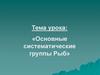 Основные систематические группы Рыб