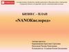 NANOКислород. Бизнес-план