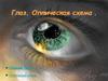 Глаз. Оптическая схема. Строение глаза. Оптическая схема