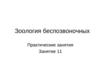Зоология беспозвоночных. Практические занятия