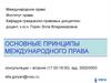 Международное право. Основные принципы международного права
