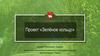 Проект «Зелёное кольцо»