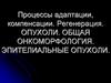 Процессы адаптации, компенсации. Регенерация. Опухоли. Общая онкоморфология. Эпителиальные опухоли