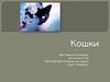 Кошки
