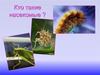 Кто такие насекомые ?