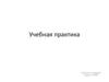 Учебная практика