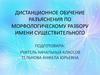 Морфологический разбор имени существительного