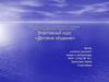 Элективный курс «Деловое общение»