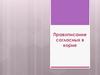 Правописание согласных в корне