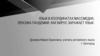 Язык в координатах массмедиа: лексика пандемии. Как вирус заражает язык