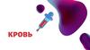Кровь. Плазма крови