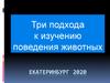 Три подхода к изучению поведения животных