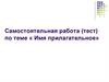 Самостоятельная работа (тест) по теме « Имя прилагательное»