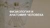 Физиология и анатомия человека