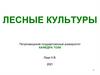 Лесные культуры