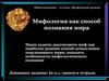 Мифология как способ познания мира