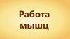 Работа мышц