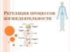 Регуляция процессов жизнедеятельности