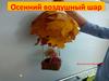 Осенний воздушный шар