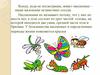 Мир насекомых