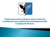 Территориальная избирательная комиссия муниципального района Большечерниговский Самарской области