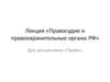 Правосудие и правоохранительные органы РФ
